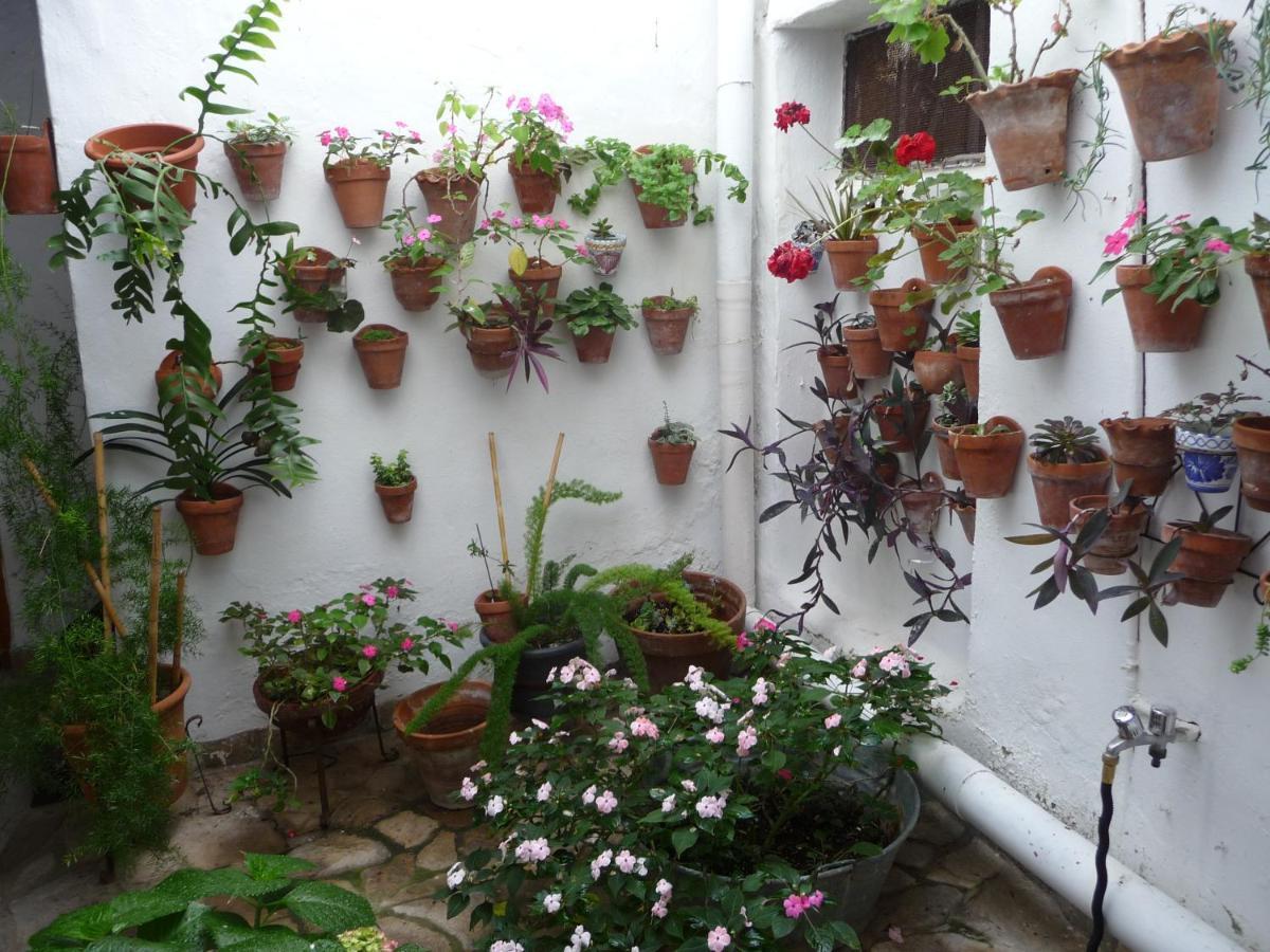 Villa Casa Sol Vejer de la Frontera Esterno foto
